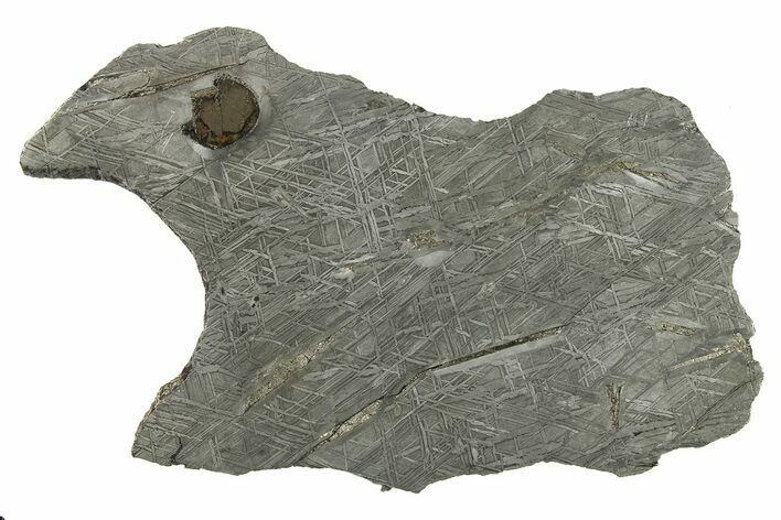 Etched Iron Meteorite Slice ( g) - Chad #272592